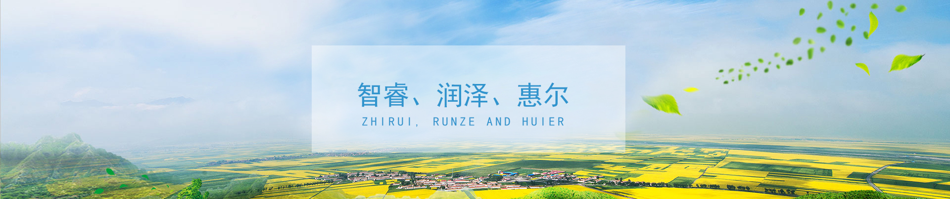 &#24320;&#20113;&#32593;&#39029;&#29256;
